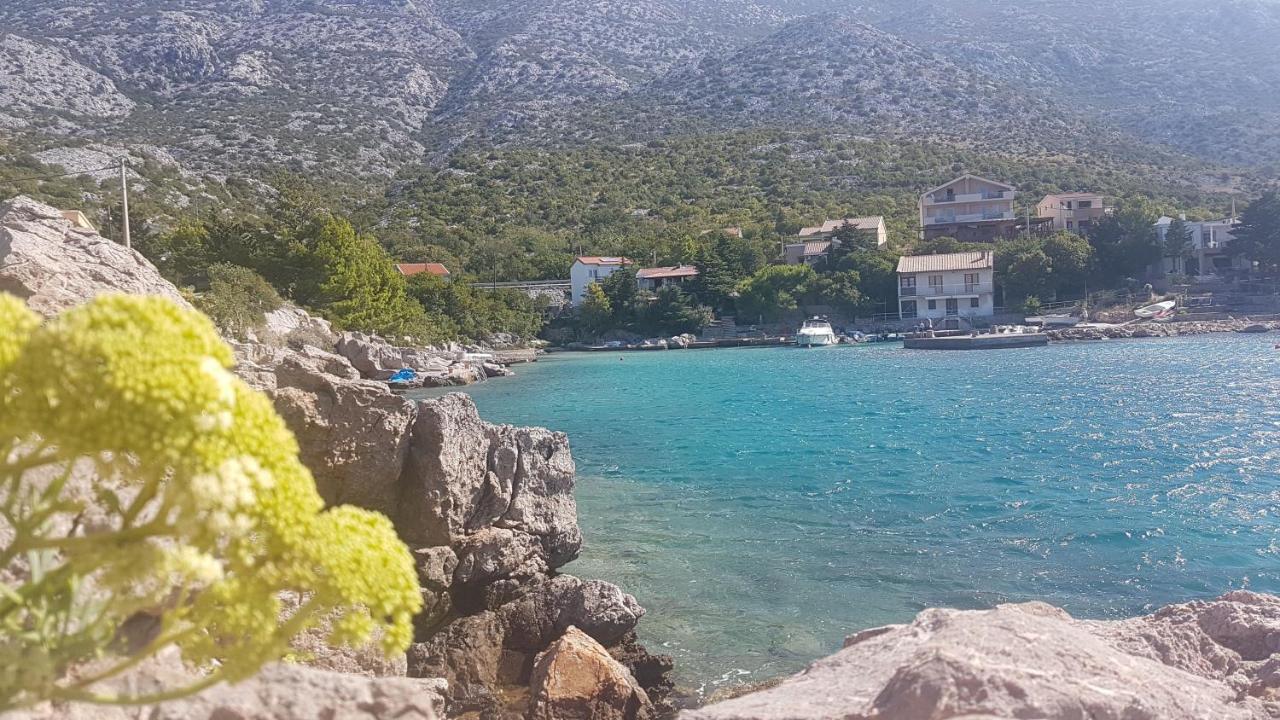 Ribarica Go Green 2 Διαμέρισμα Εξωτερικό φωτογραφία